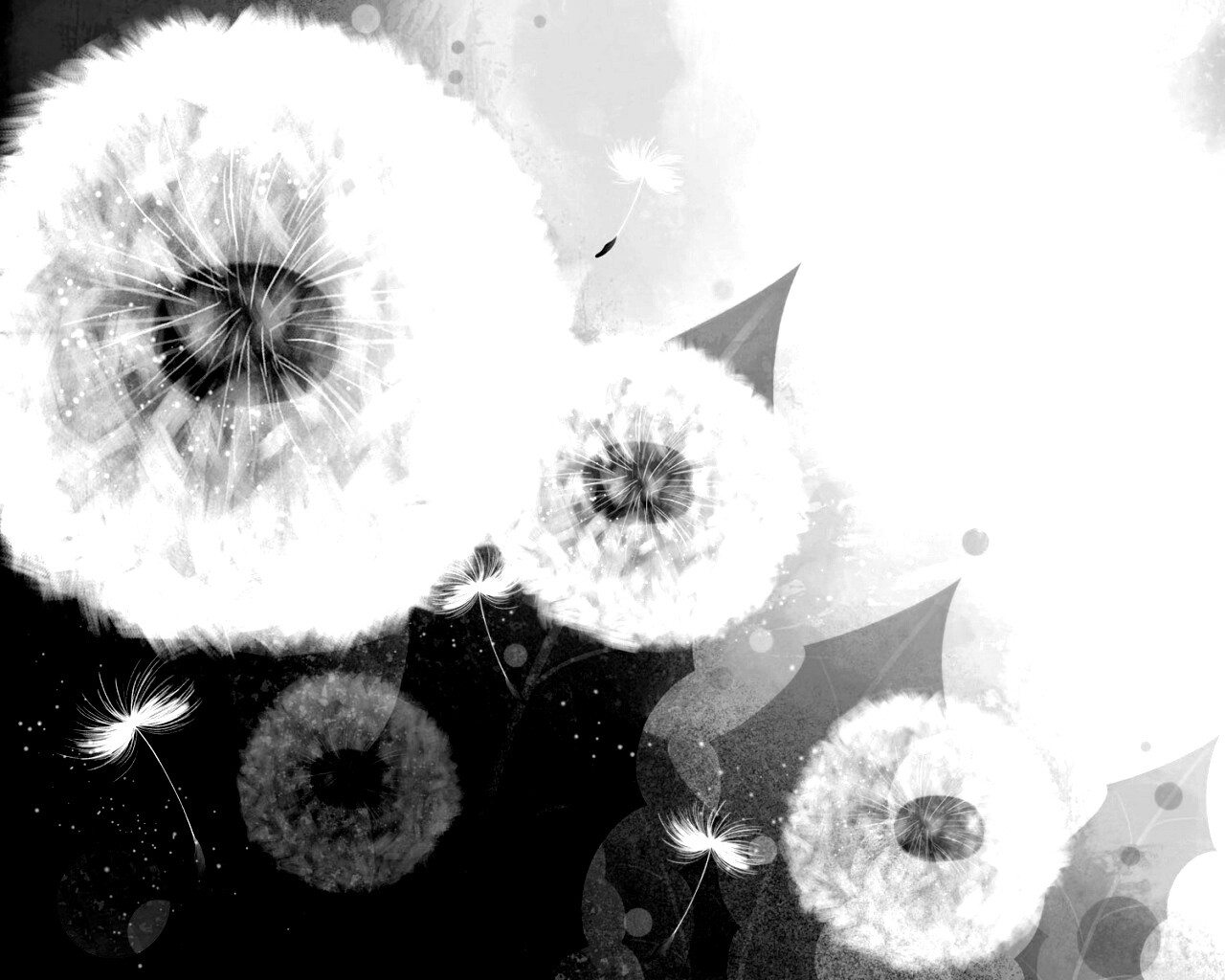 Одуванчики обои