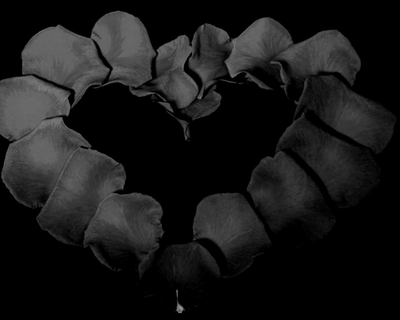 Красивое сердце обои