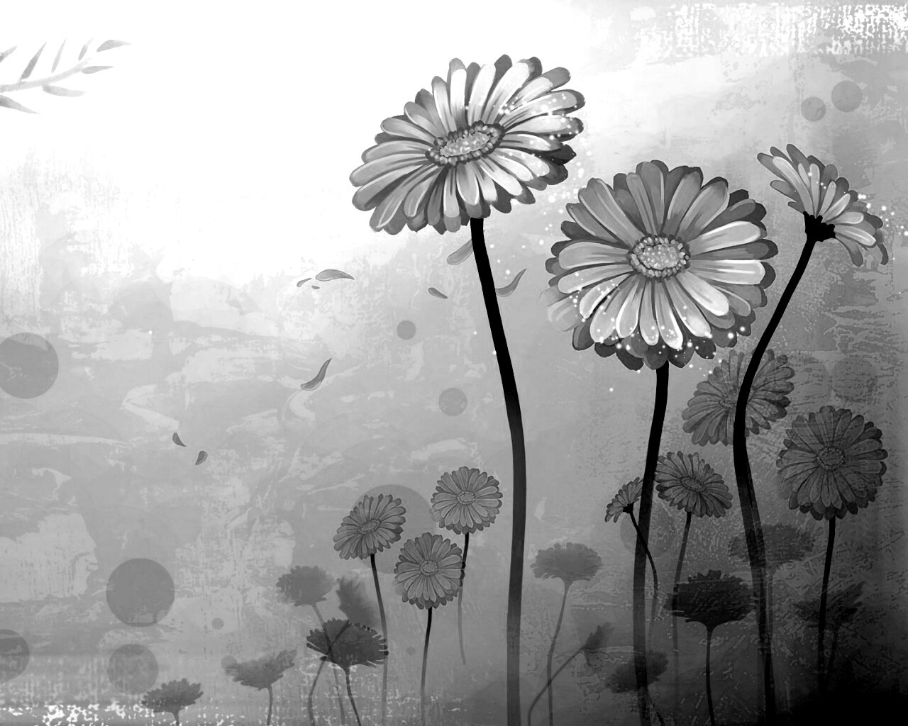 Векторные ромашки обои