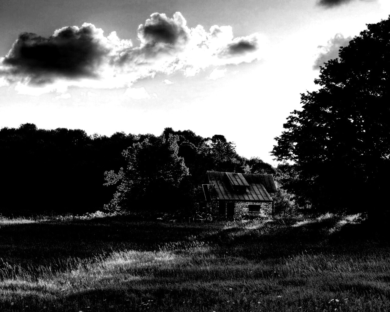 Домик в лесу обои