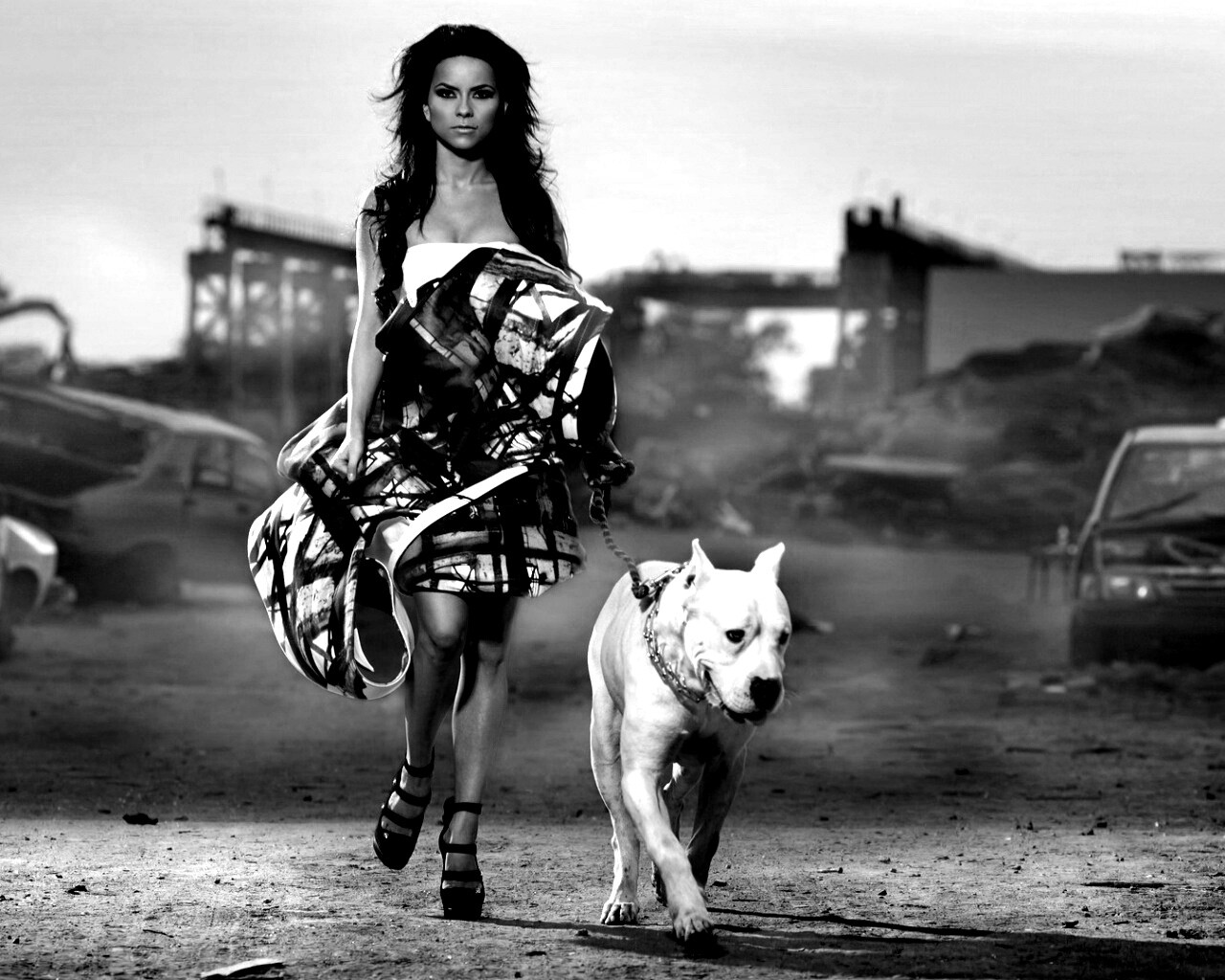 Девушка с питбулем обои