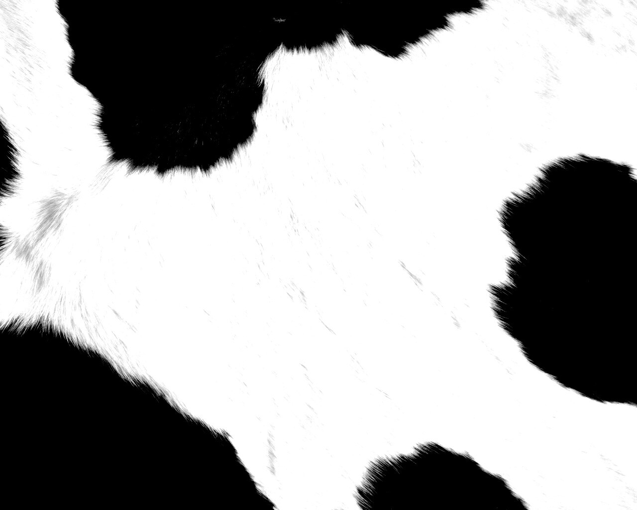 Шкура коровы обои
