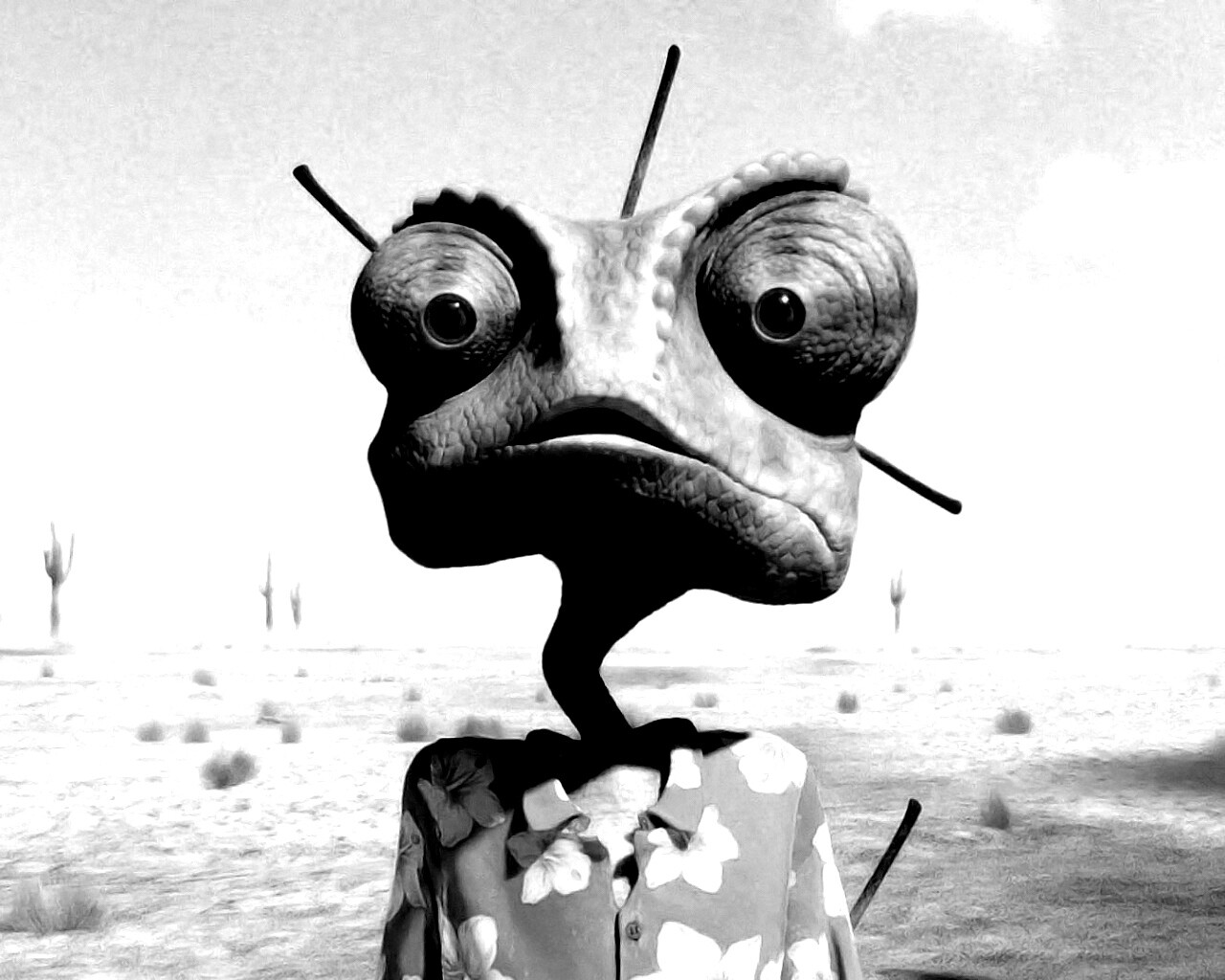 Ранго в колючках от кактуса обои