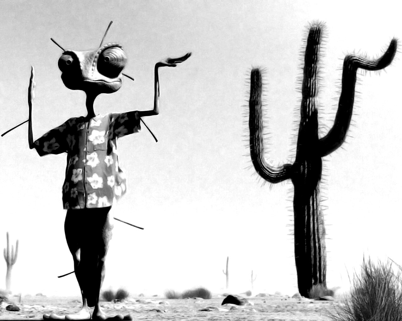 Ранго и кактус обои