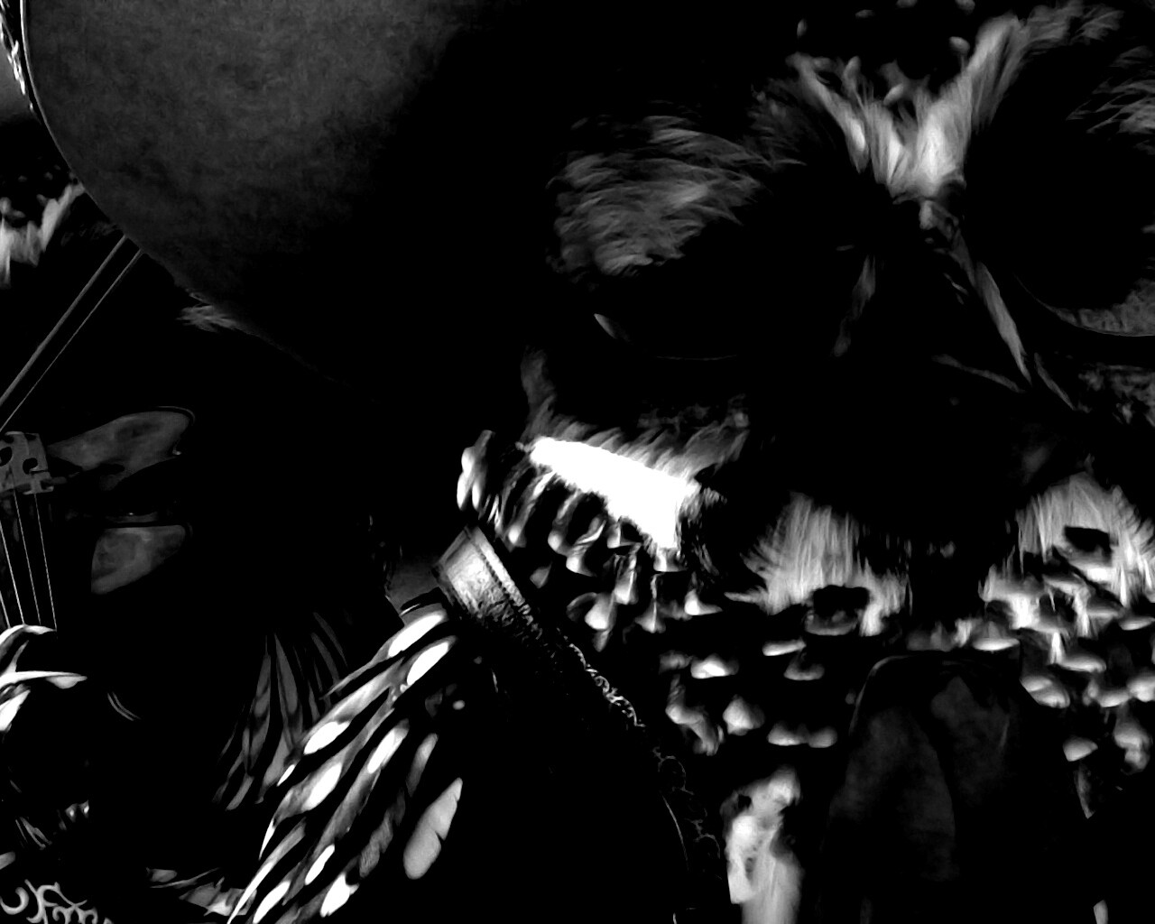 Совы-мариачи из Ранго обои