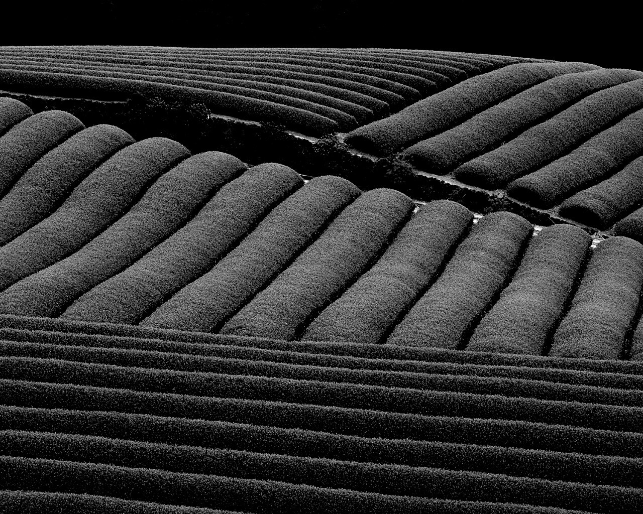 Красивые гряды обои