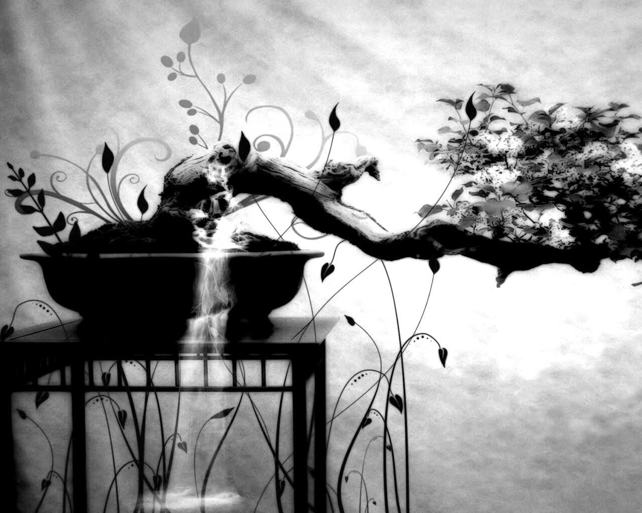 Карликовое дерево обои