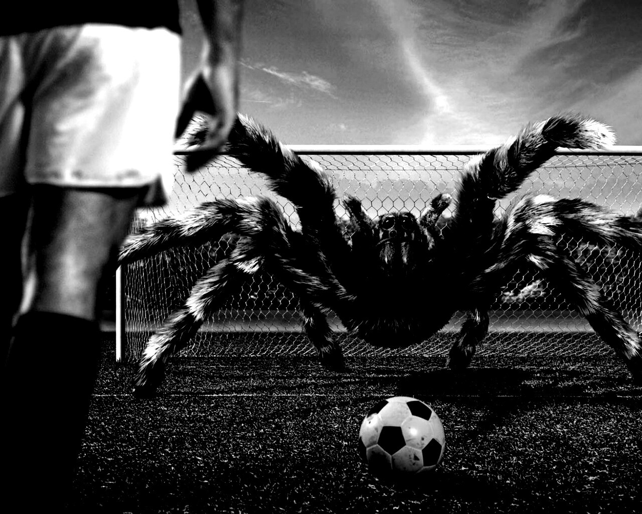 Вратарь обои