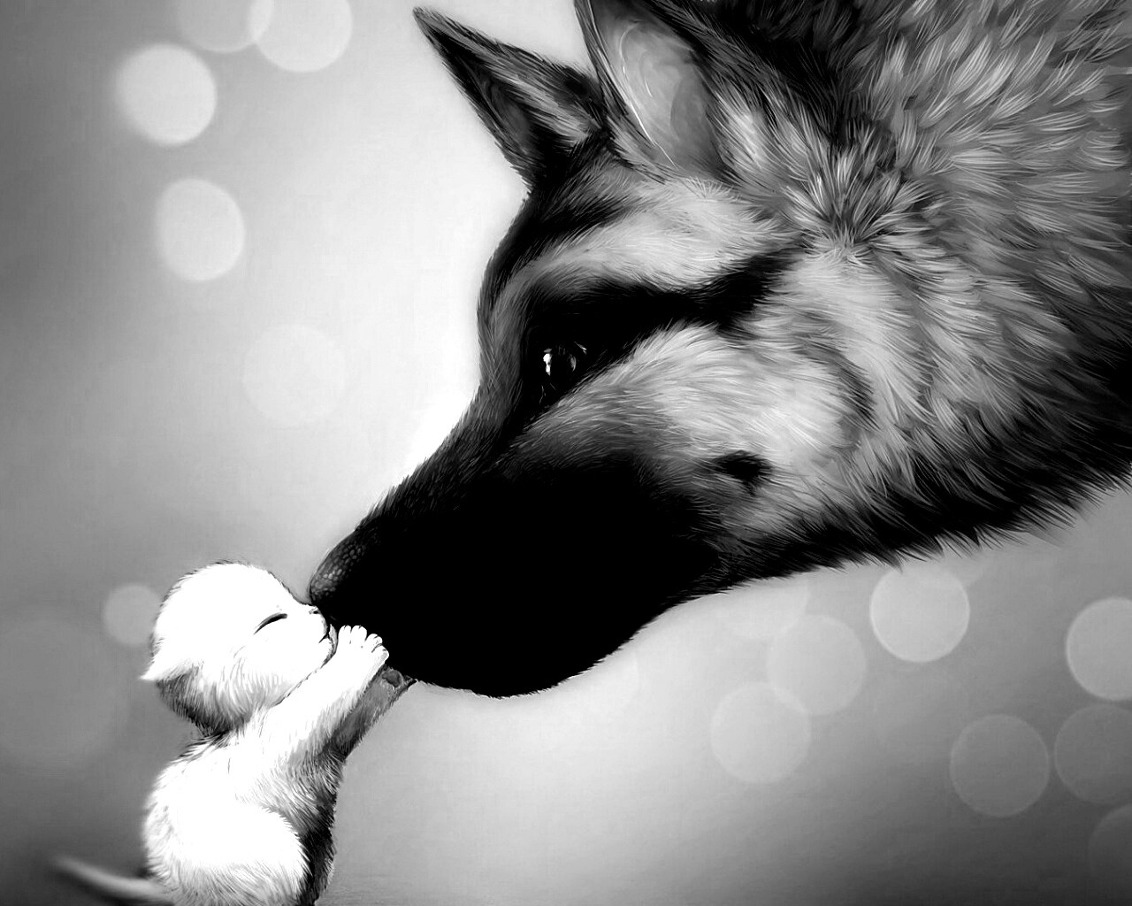 Овчарка и котенок обои