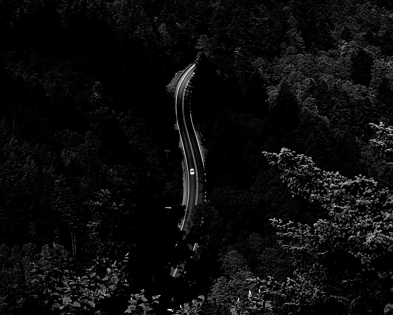 Лесная трасса обои