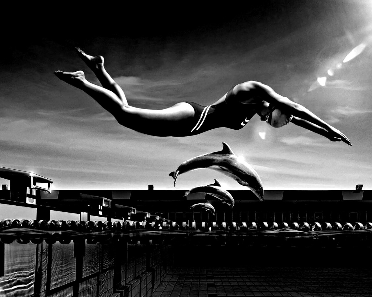 Соревнование обои