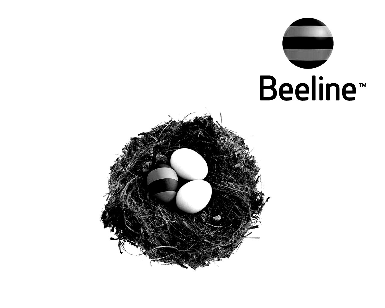 Гнездо beeline обои