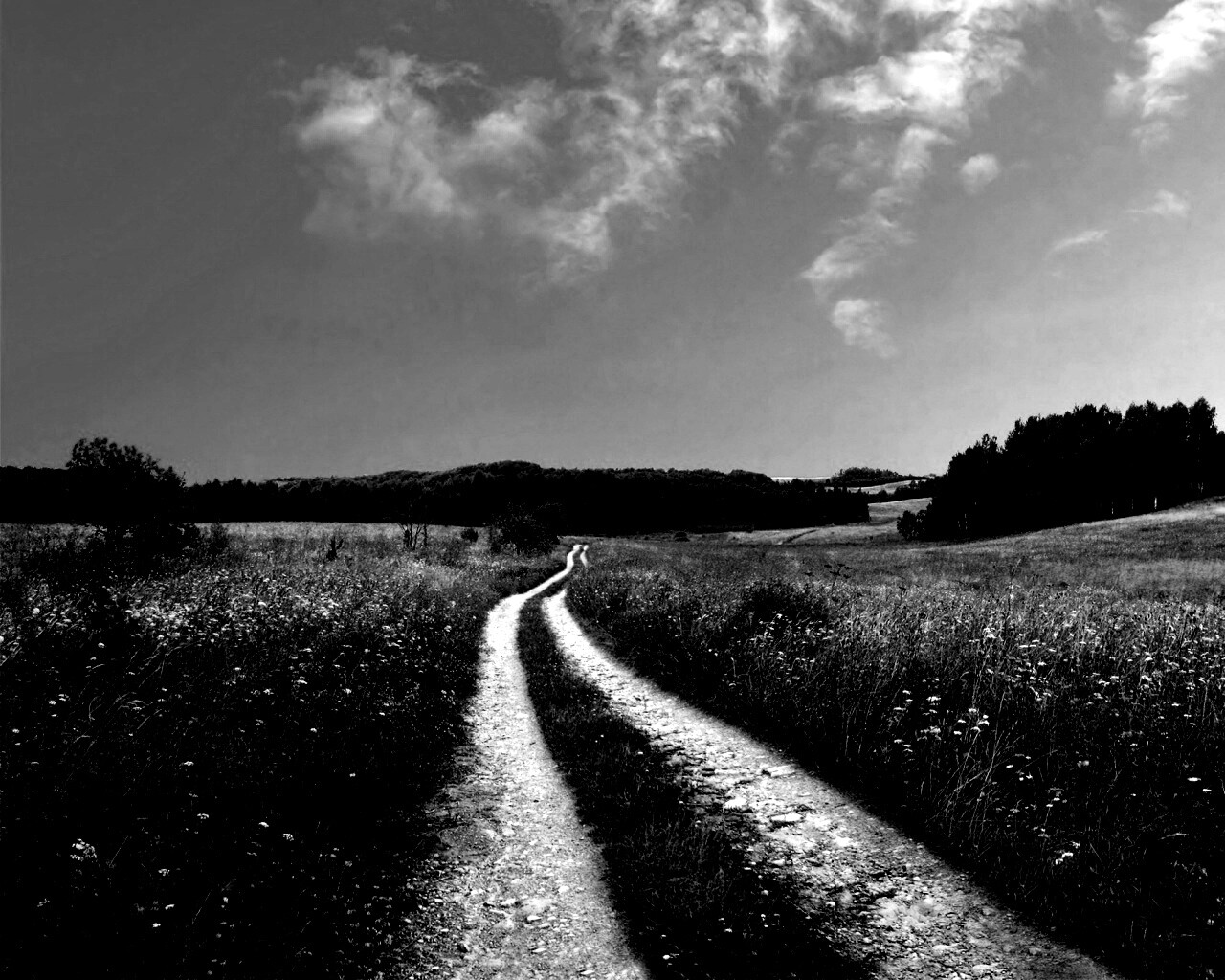 Дорога через луг обои