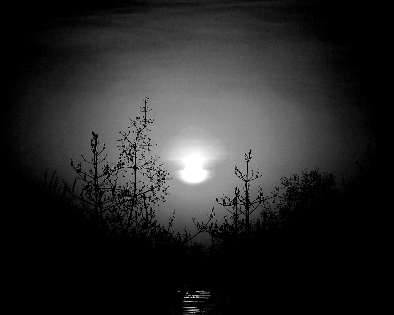 Доисторическое утро обои