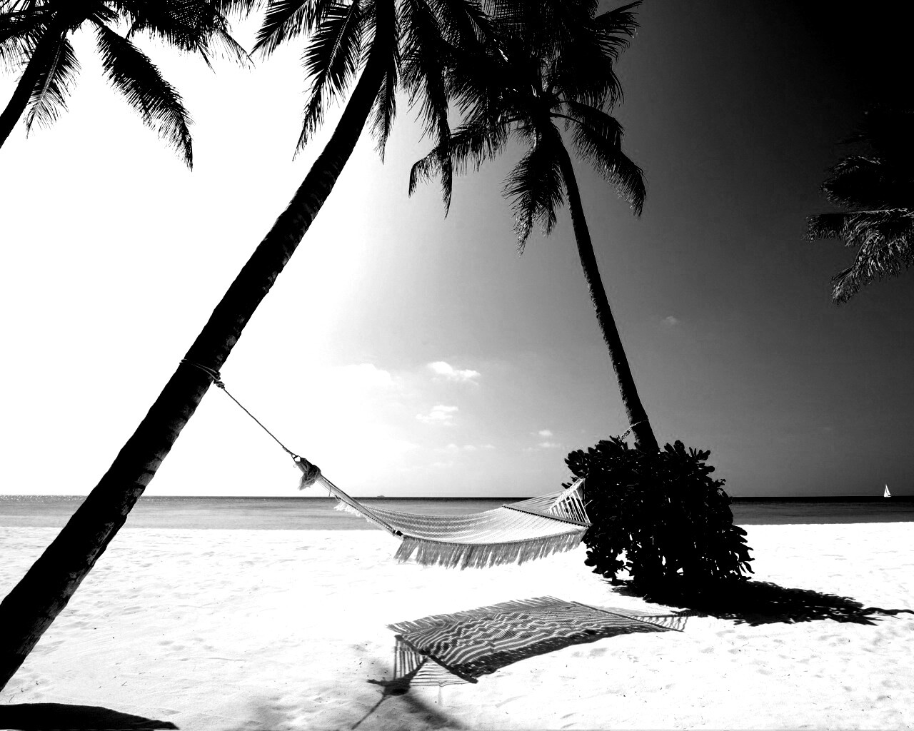 Тропический рай обои