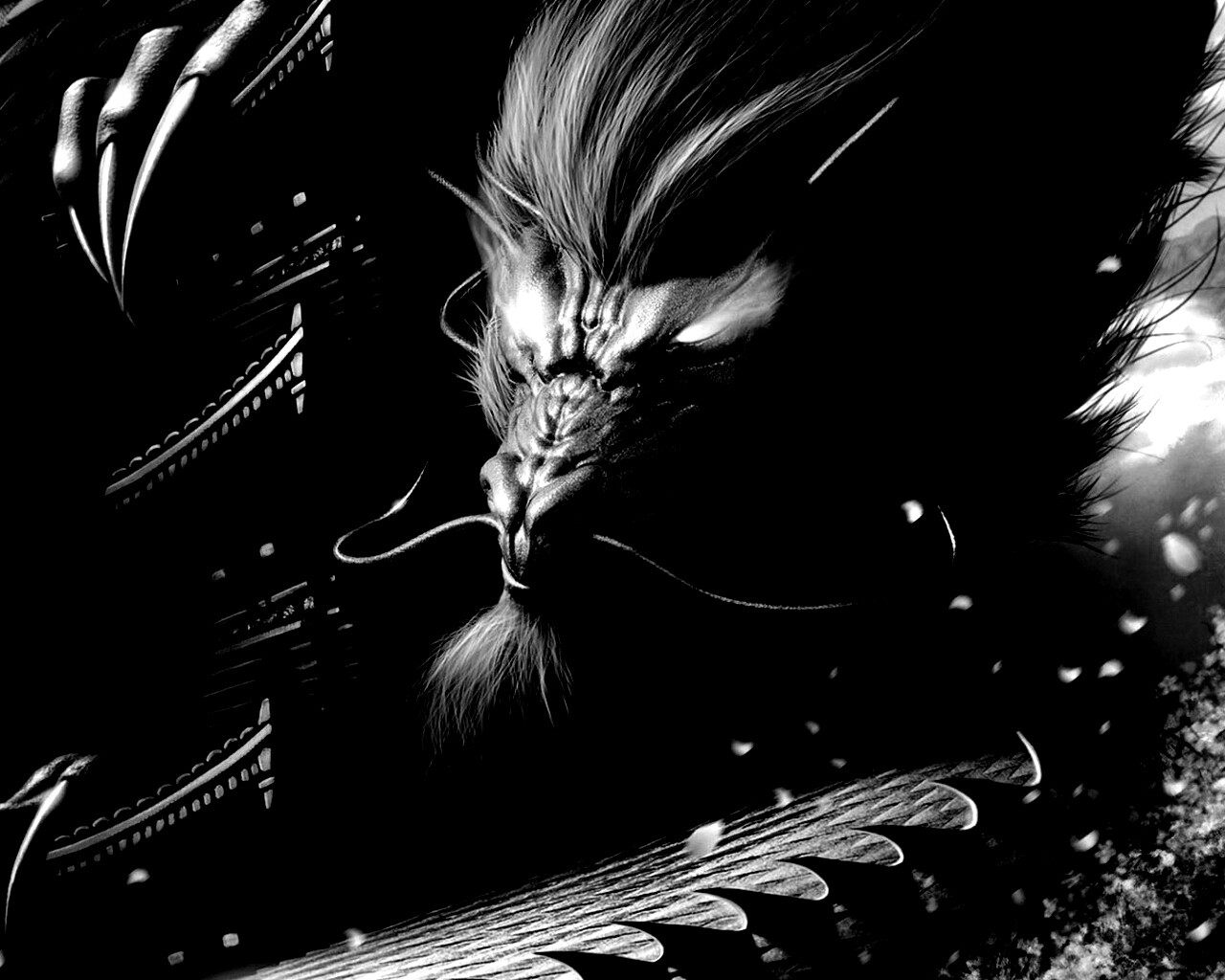 Китайский дракон обои