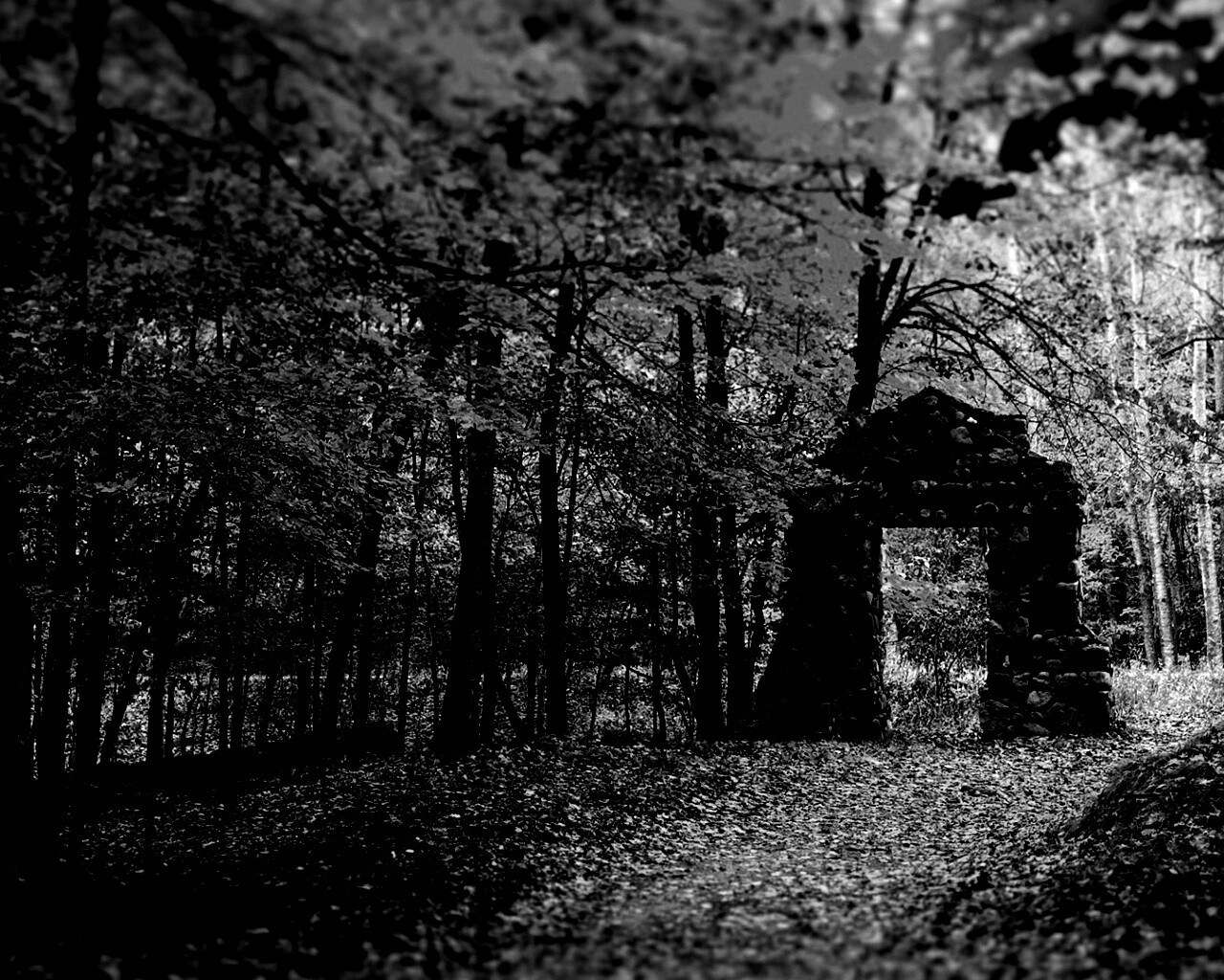 Каменная арка в осеннем лесу обои