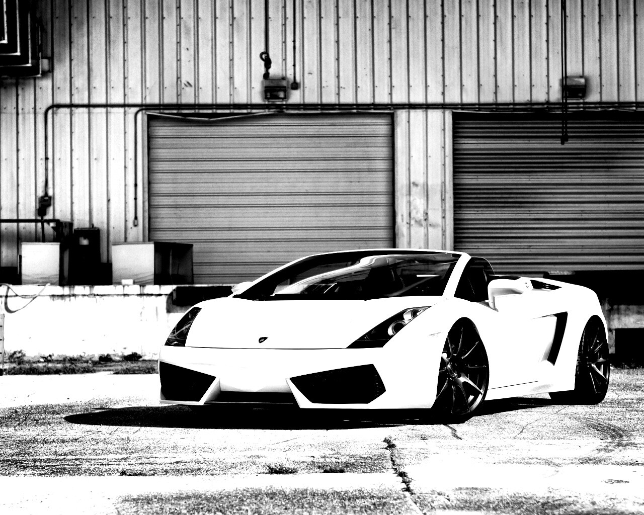Белый спорткар Ламборгини Галлардо обои