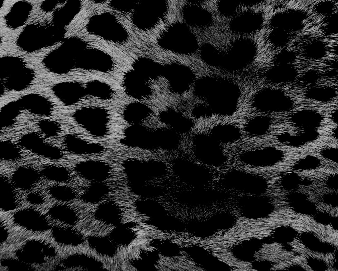 Шкура гепарда обои