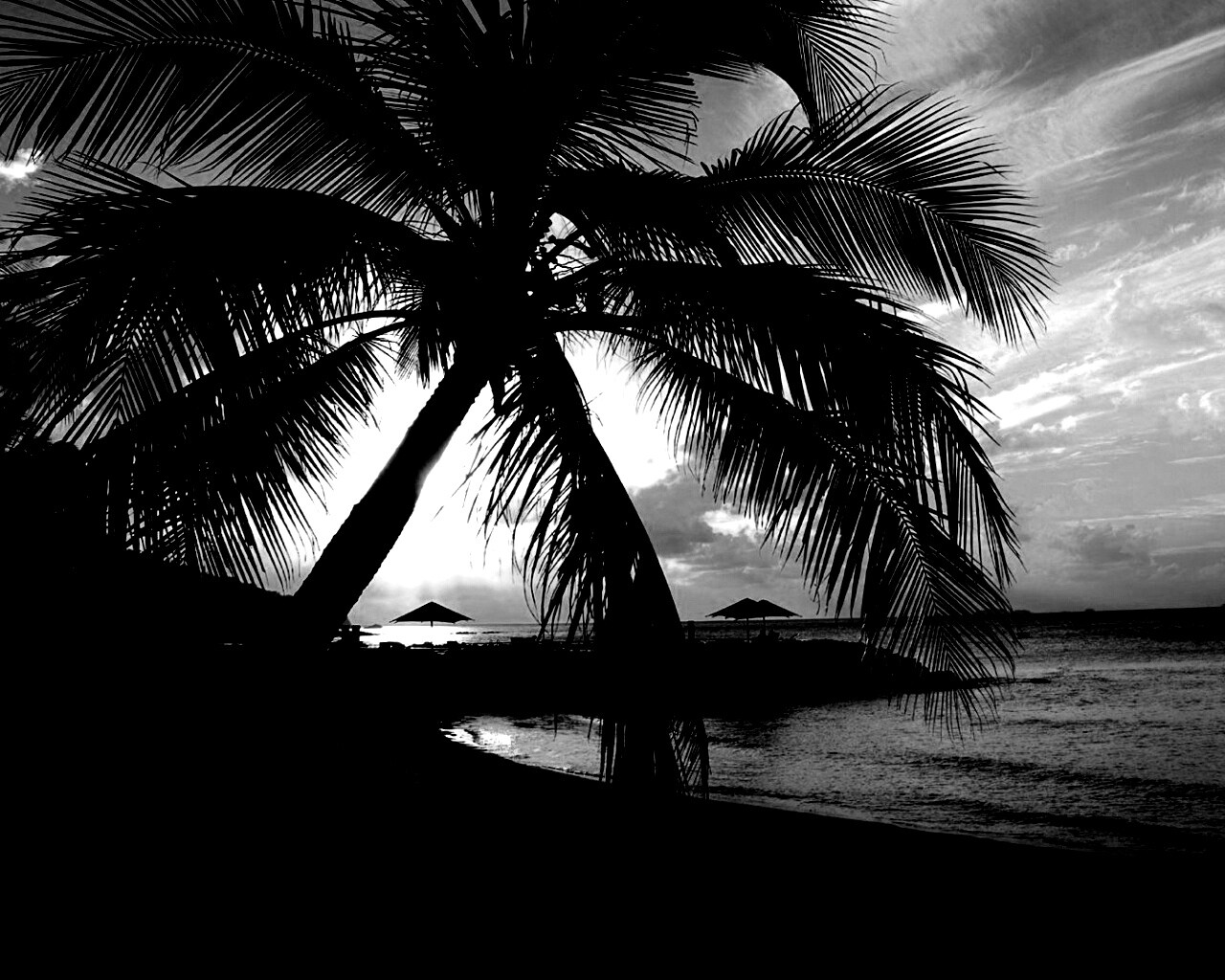 Пляж на закате обои