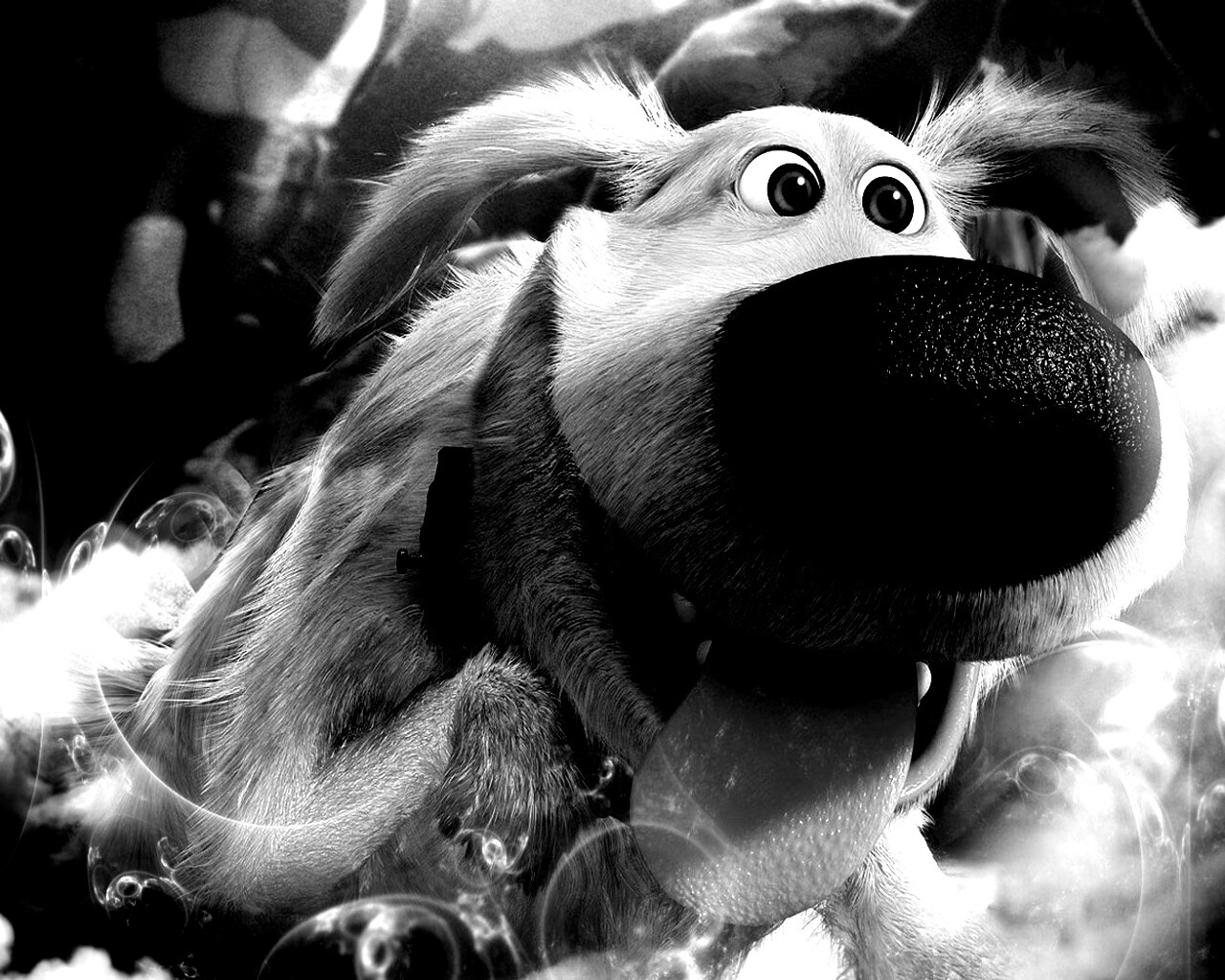 Собака из мультфильма Up обои