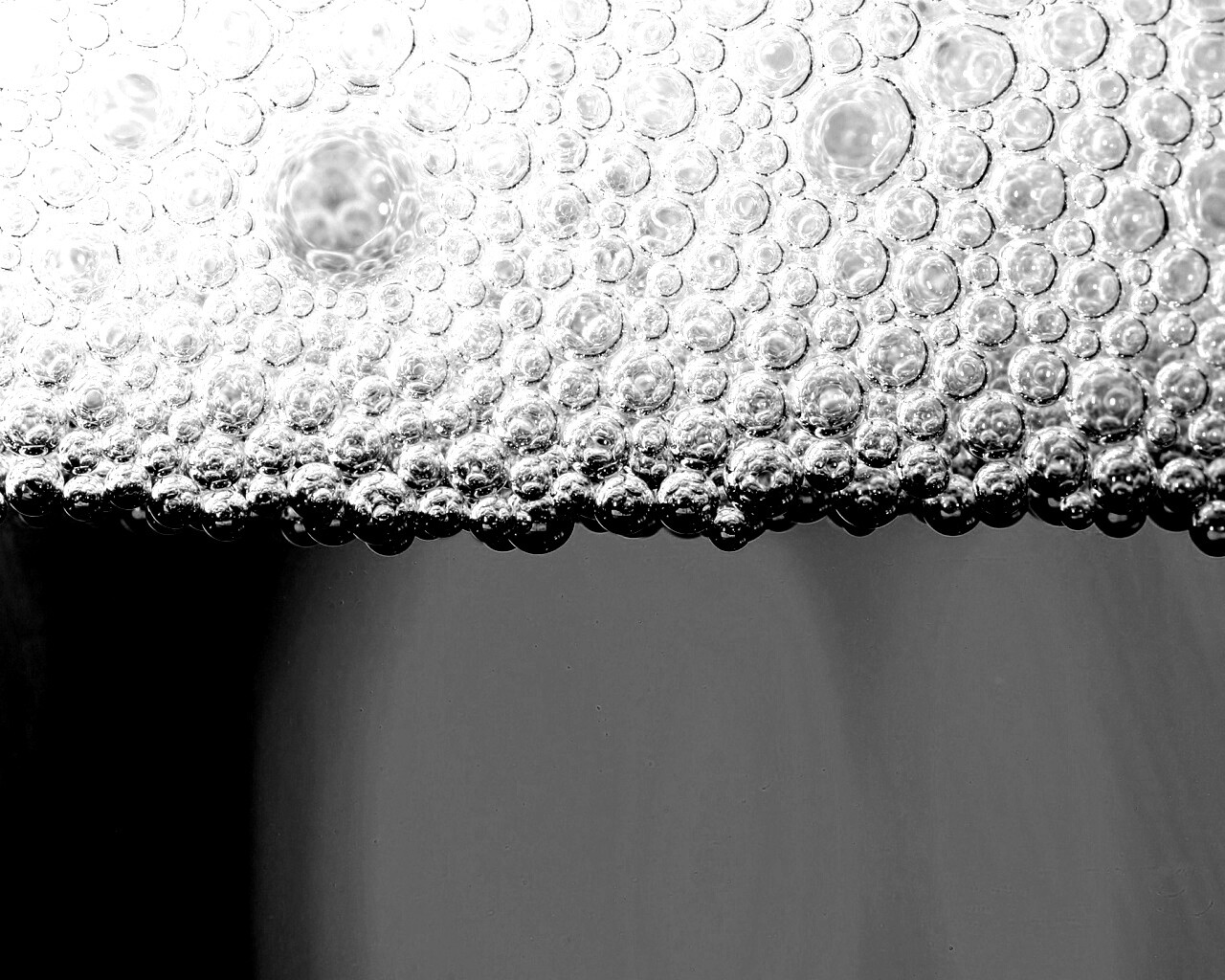 Пенное пиво в макро обои