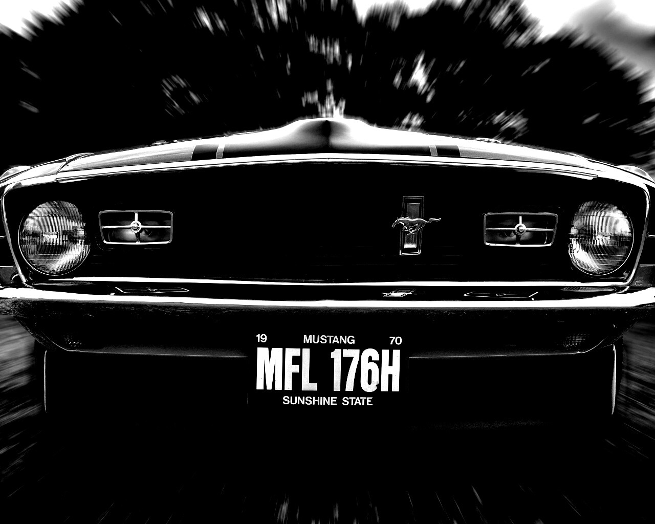 Мустанг обои