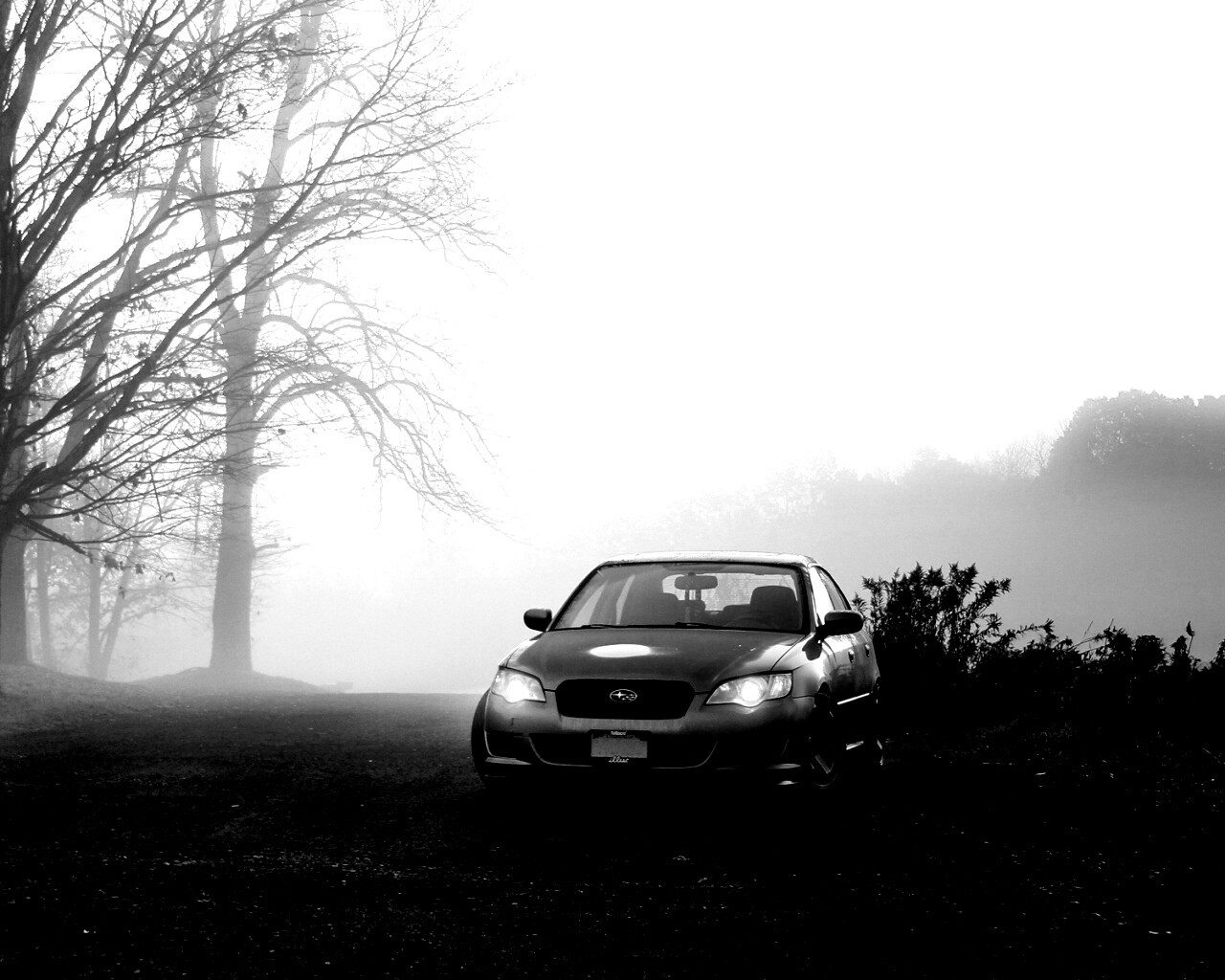 Лексус обои