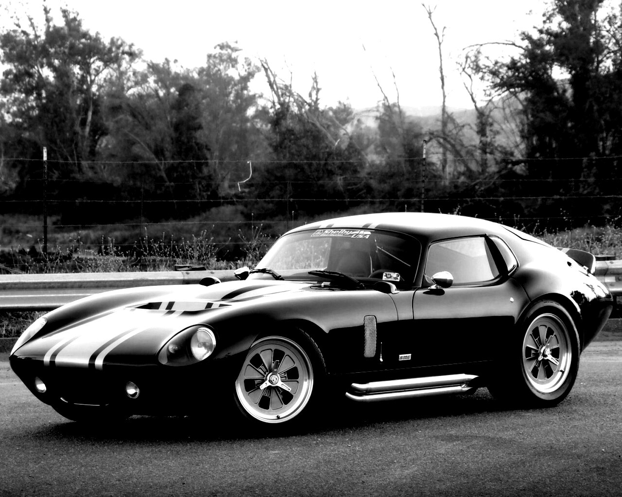 Shelby Daytona обои