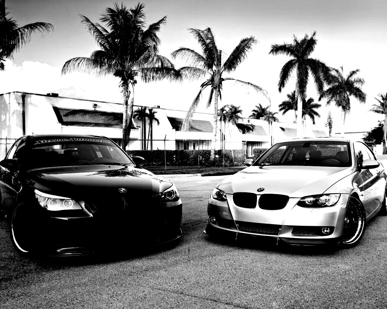Две БМВ обои