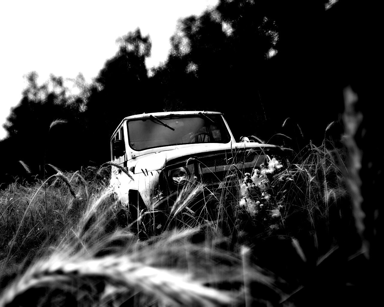 УАЗик в траве обои