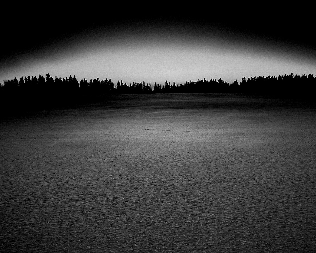 Восход над заснеженным лесом обои