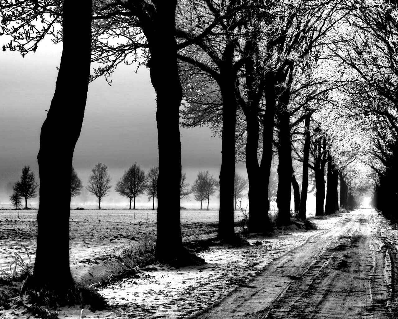 Морозное утро обои