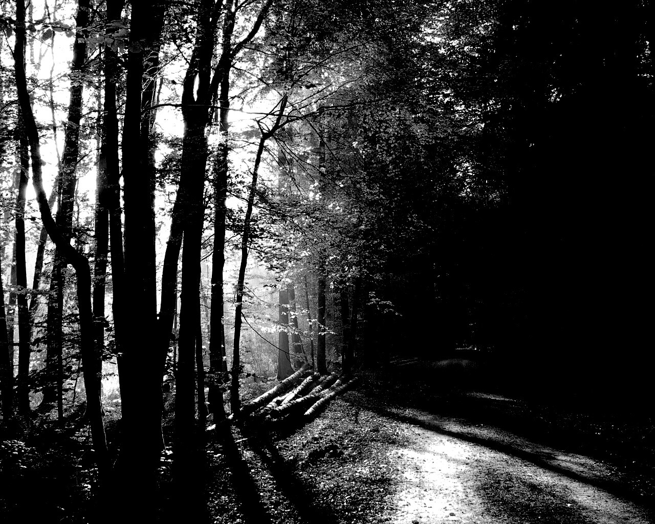 Дорога вдоль просеки в осеннем лесу обои