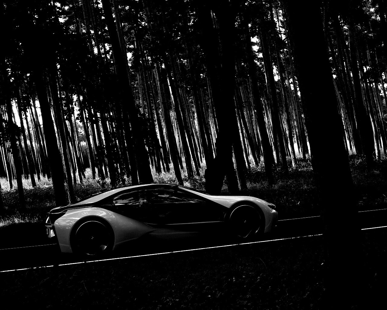 Спорткар BMW на лесной дороге обои