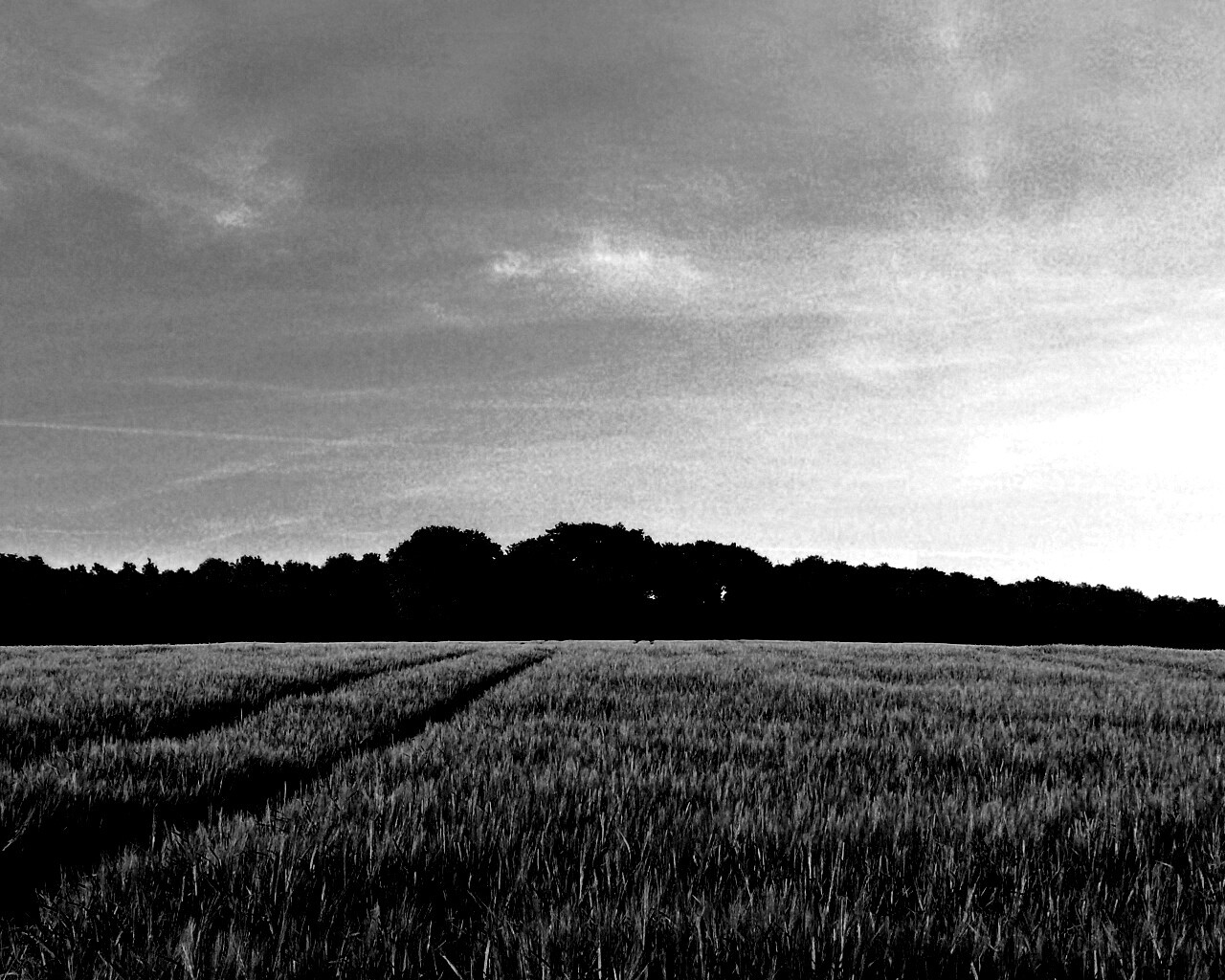 Следы колеи в поле обои