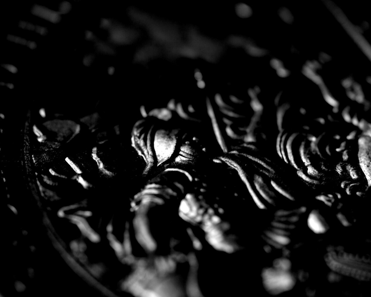 Монета в макро обои