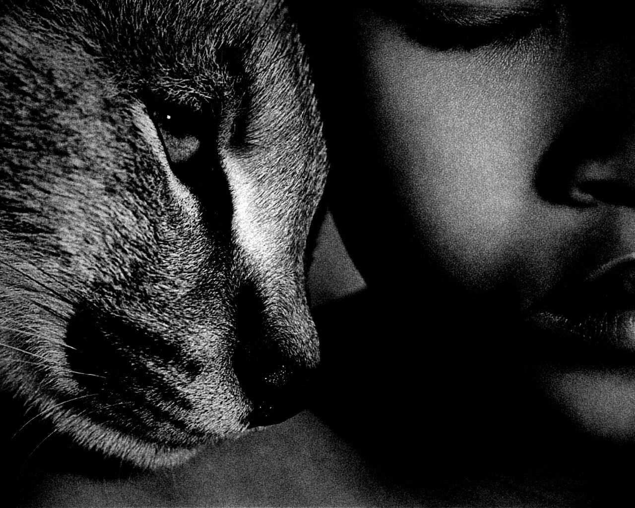 Человек и природа обои