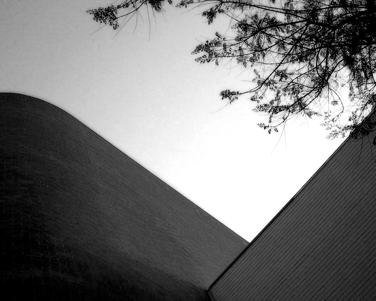 Закругленная стена обои