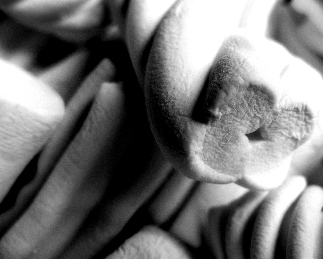 Кручёный зефир обои