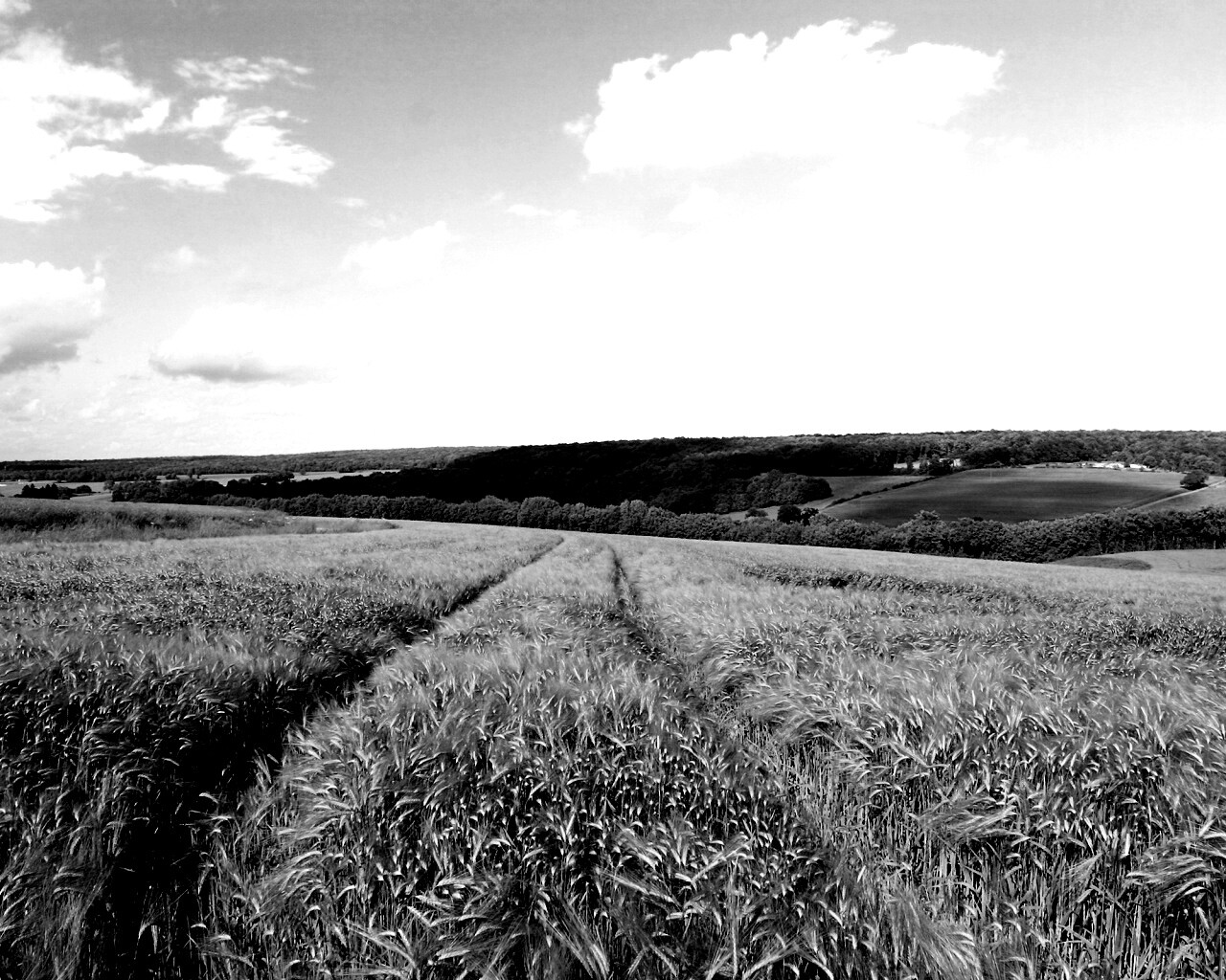 Бескрайние просторы обои