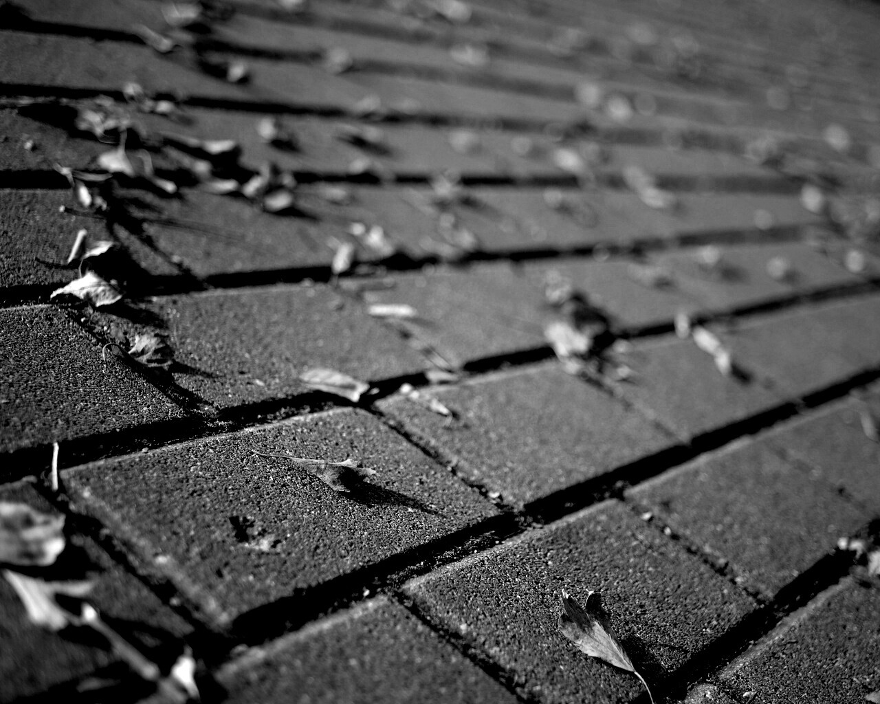 Тротуар обои