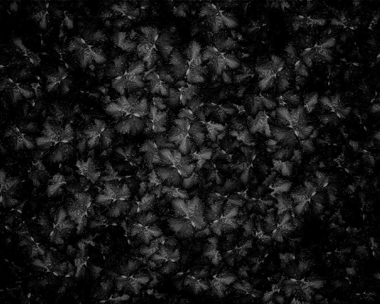 Осенние листья обои