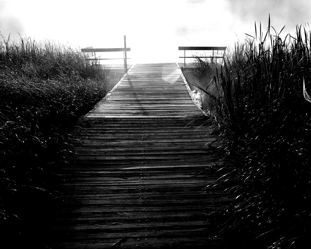 Выход к реке обои