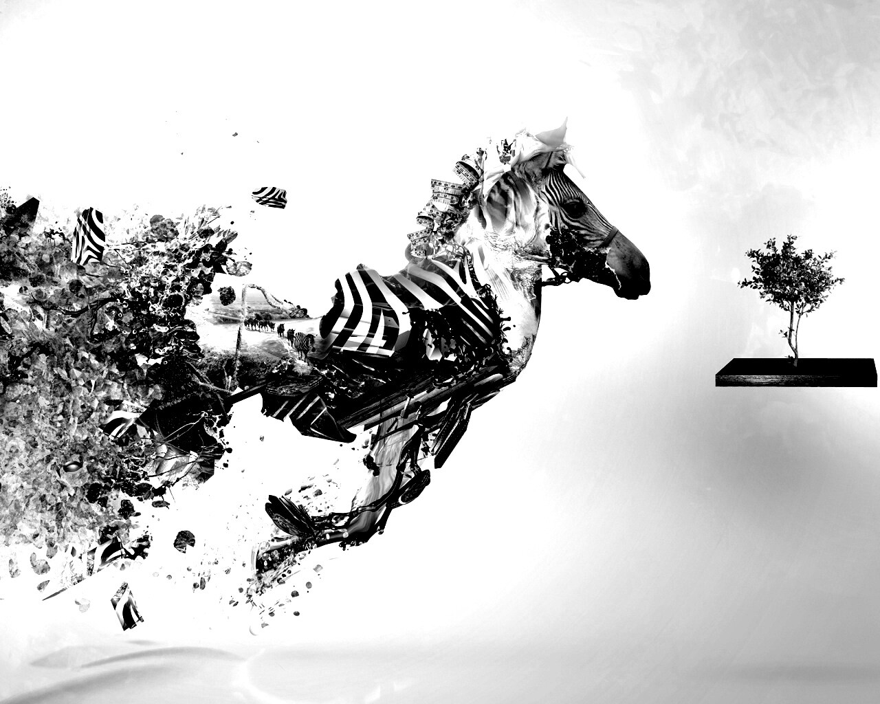 Зебра и бонсай обои