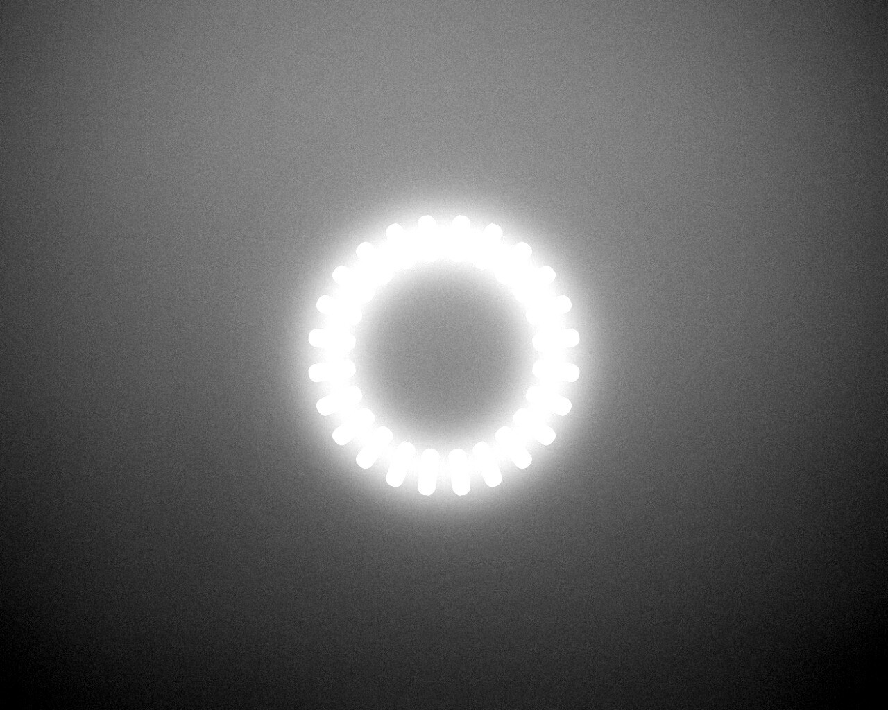 Круг света обои