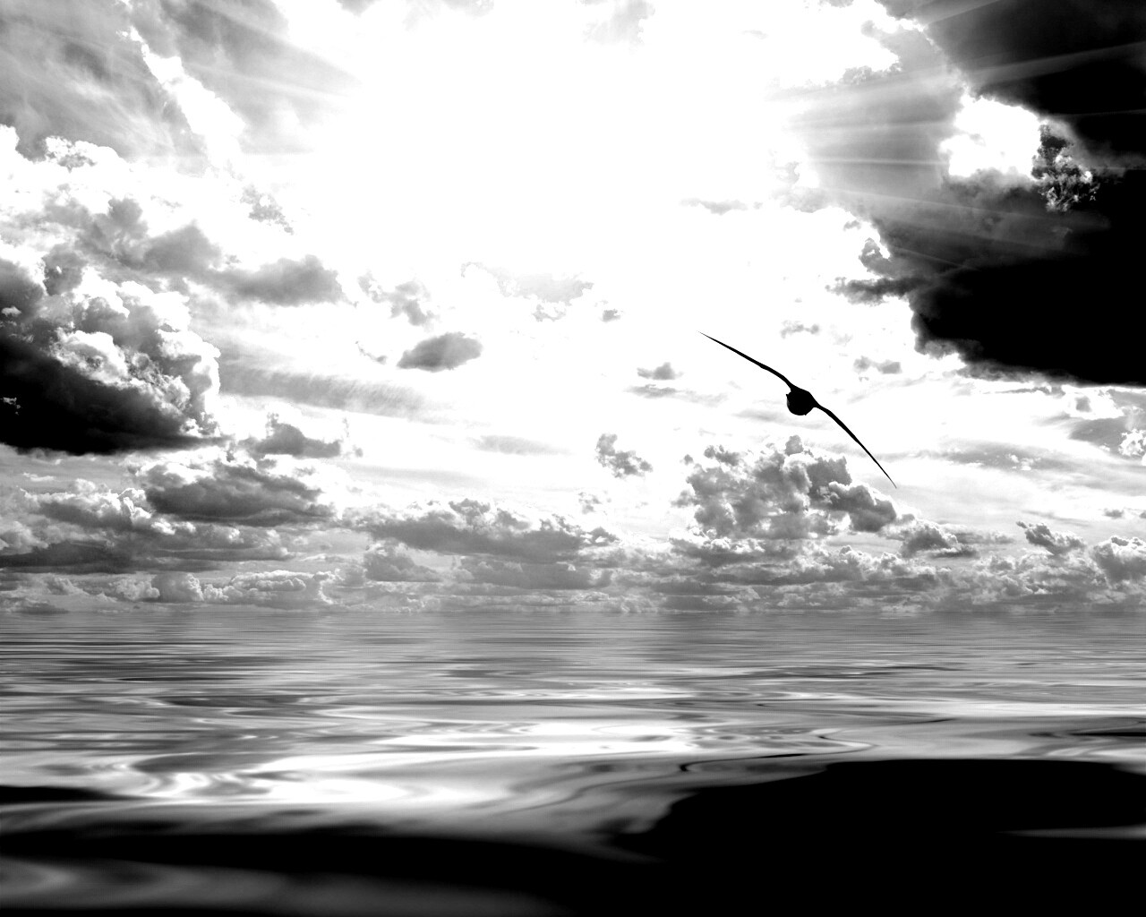 Лети как птица над волнами обои