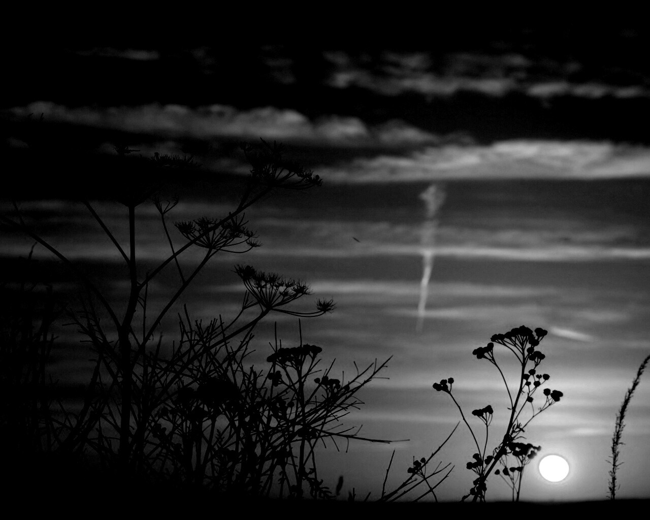 Степной закат обои