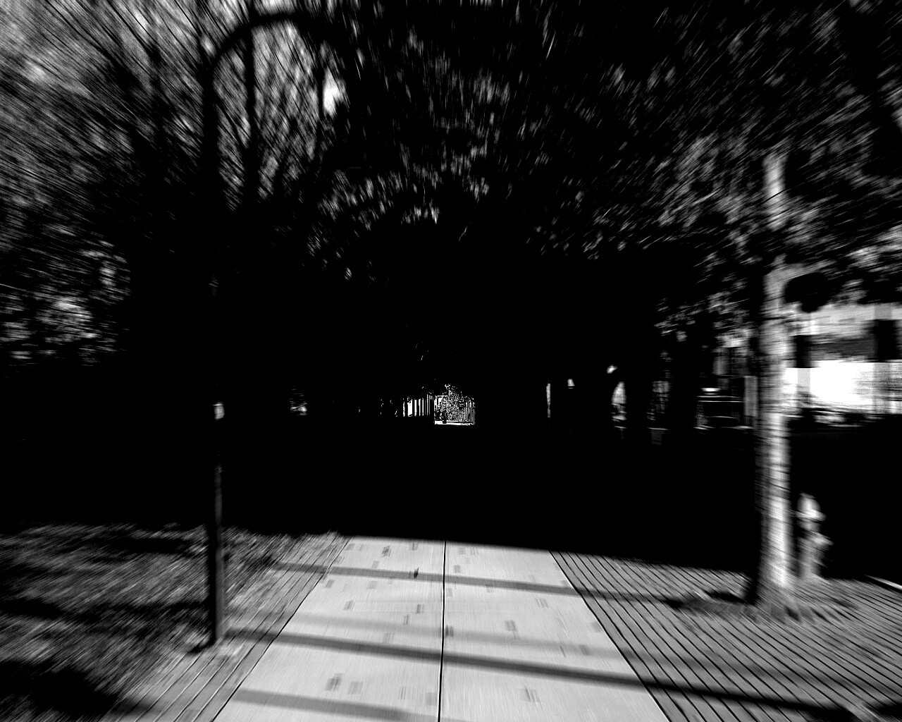 В парке обои