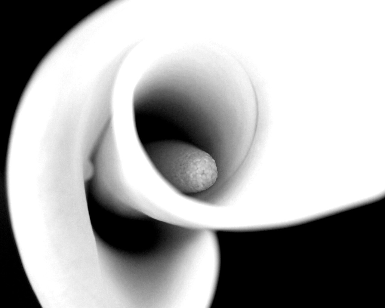 Спираль обои